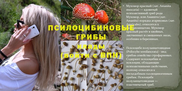 apvp Абинск
