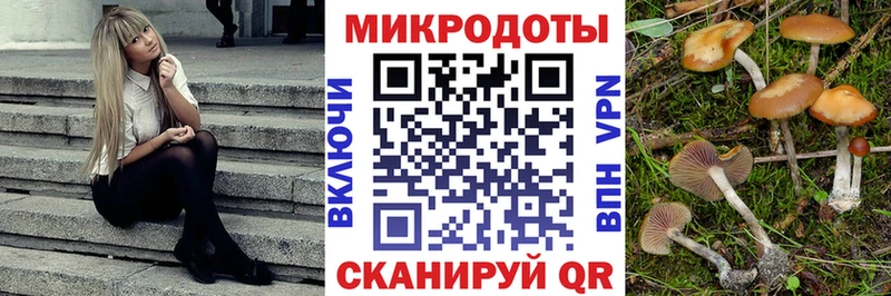 Галлюциногенные грибы GOLDEN TEACHER  hydra вход  Чекалин 